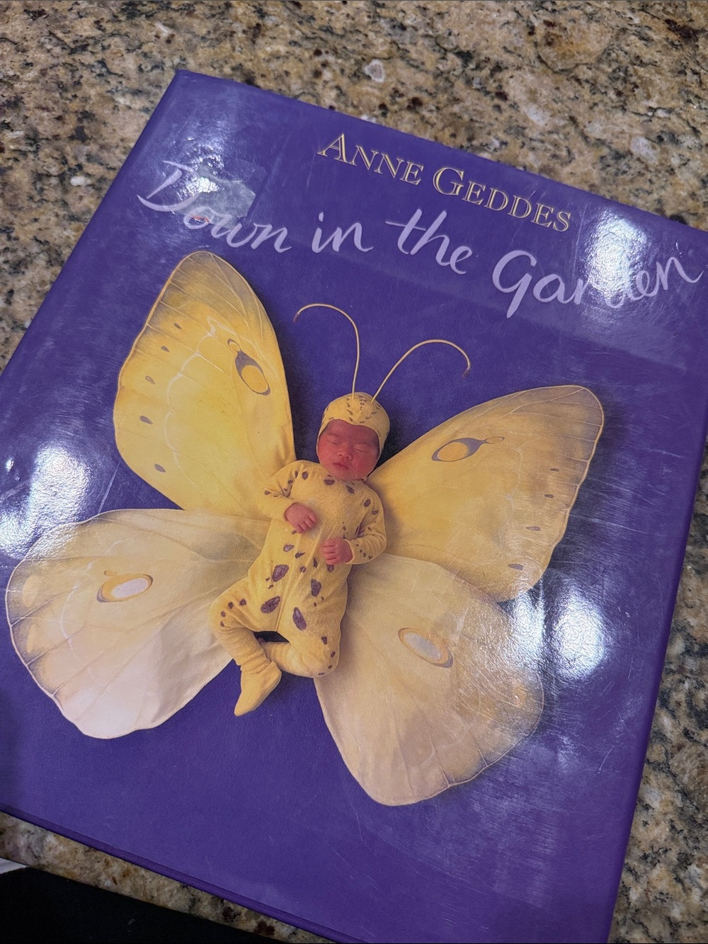 Anne Geddes Down In The Garden large coffee table book